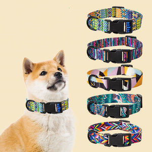 Collier pour chien avec laisse