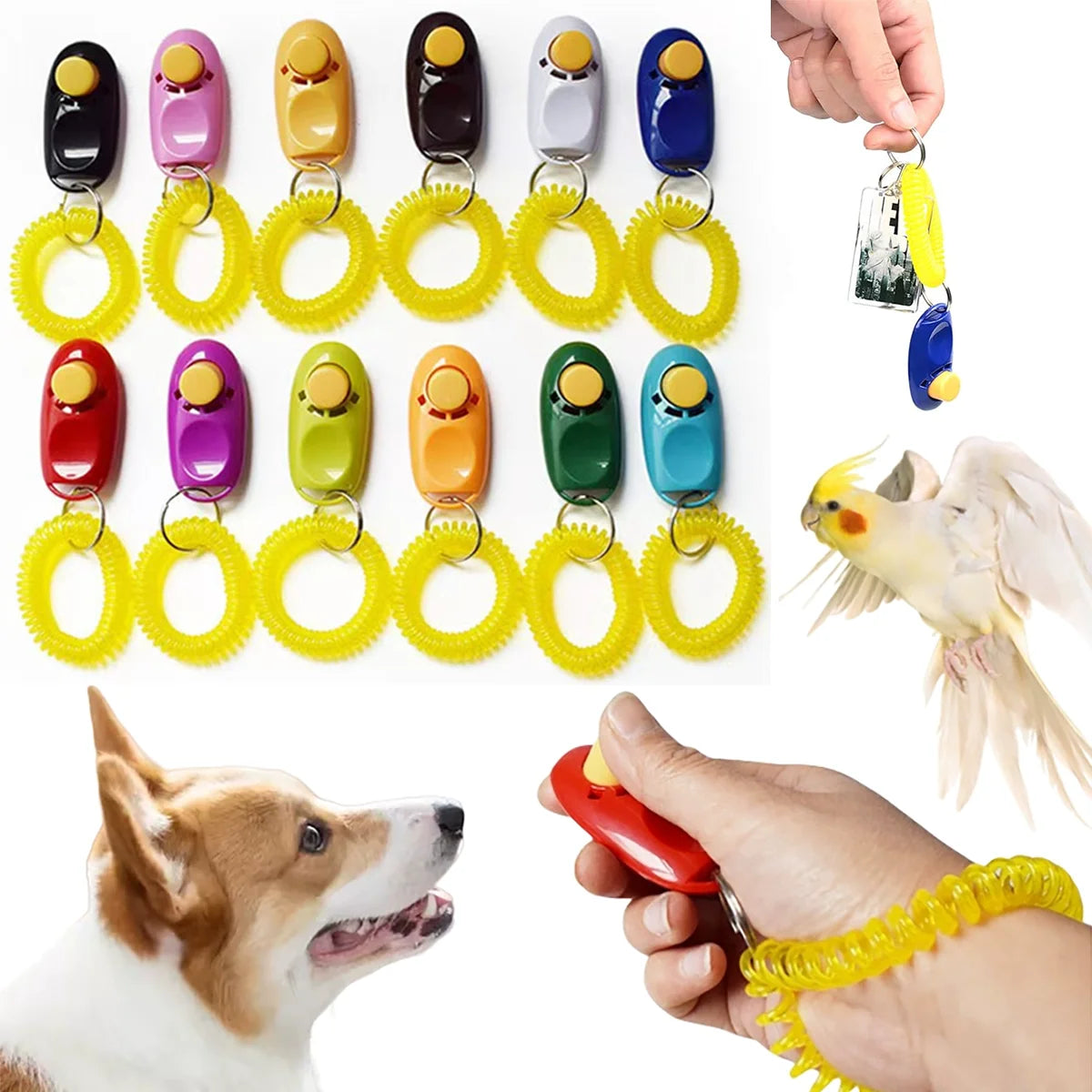 Dog Training Clicker Kit - view 1