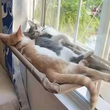 Ultra-Soft Cat Window Hammock — Space-Saving Perch