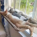 Ultra-Soft Cat Window Hammock — Space-Saving Perch