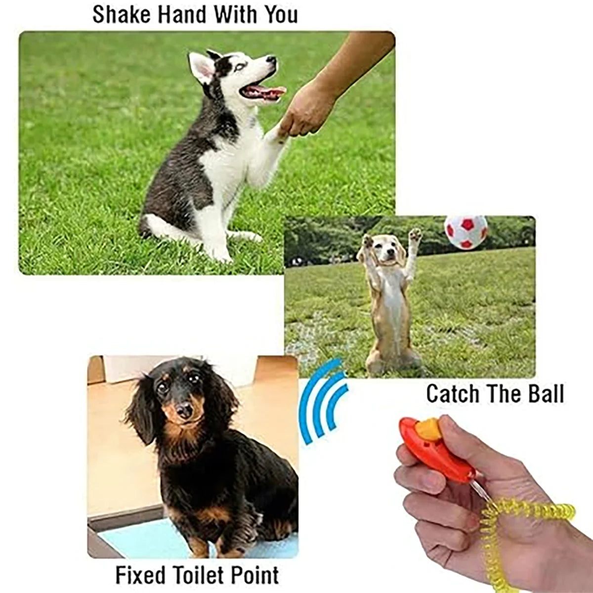 Dog Training Clicker Kit - view 3