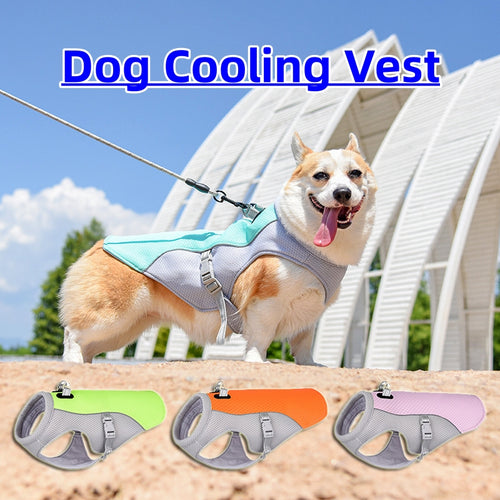 Summer cooling kit - cooling vest